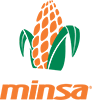 logo de minsa